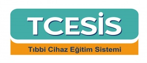 tcesıs