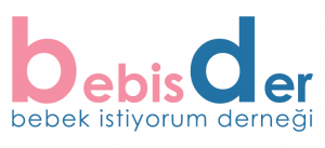 bebisder logo