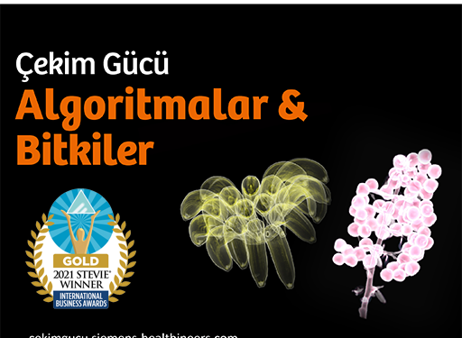 Siemens Healthineers Türkiye Algoritmalar ve Bitkiler Sergisi, Stevie Uluslararası İş Ödülleri’nde Altın Ödül Kazandı