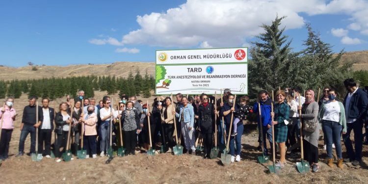 COVID19 NEDENİYLE HAYATINI KAYBEDENLERİN ANISINA HATIRA ORMANI