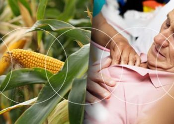 Bayer Yaşam Bilimlerinde çığır açan inovasyonlar sunmaya hazırlanıyor