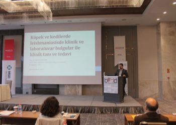 İnsanların ve köpeklerin ortak hastalığı: Leishmaniasis