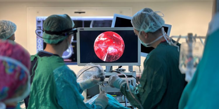 Gazi Üniversitesi Tıp Fakültesi İlk Endoskopik Kafa Tabanı Canlı Cerrahi kursu başarı ile gerçekleşti