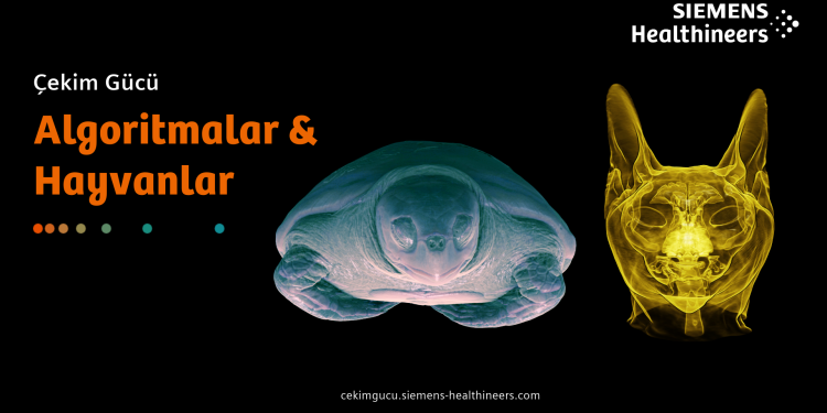 Siemens Healthineers Türkiye’den hayvan sağlığına dikkat çeken dijital sergi