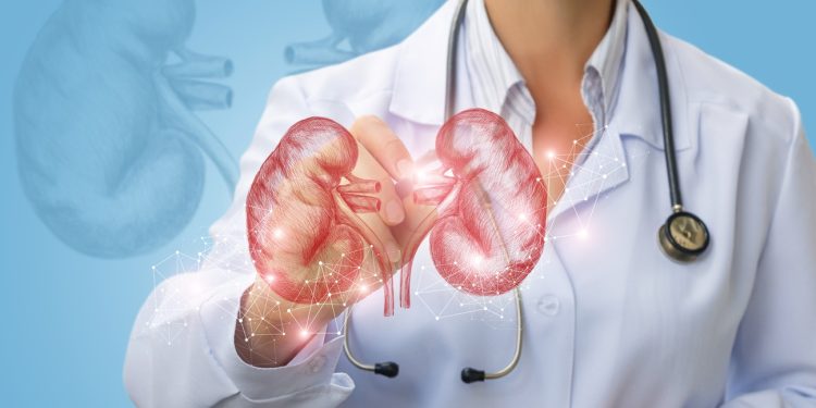 Polikistik böbrek hastalığında geleceği değiştirmek mümkün