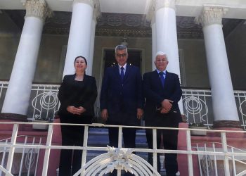 Pediatri hekimlerinin sorunları Bakan Memişoğlu’na iletildi